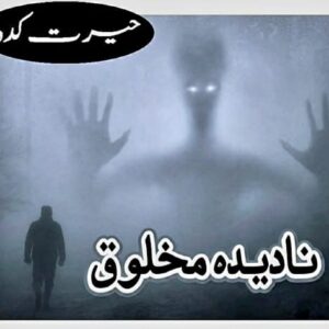 نادیدہ مخلوق۔۔۔ تحریر۔۔۔محمد فہیم