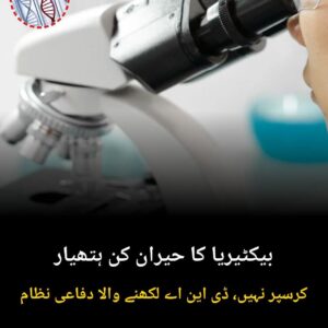بیکٹیریا کا حیران کن ہتھیار کرسپر نہیں، ڈی این اے لکھنے والا دفاعی نظام بڑھاپے اور کینسر کا علاج بدلنے کی امید