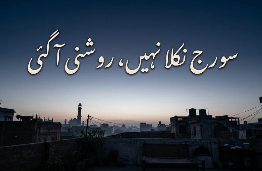 سورج نکلا نہیں ، روشنی آگئی