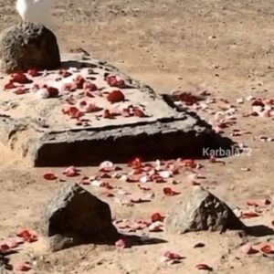 ۔۔۔۔۔۔۔۔۔۔۔ خصوصی کلام ۔۔۔۔۔۔۔۔۔۔ شاعر ۔ سید علی اقبال کاشف ( نیدرلینڈز )