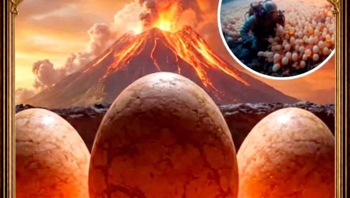 WhatsApp Image 2026-04-23 at 2.38.22 PM