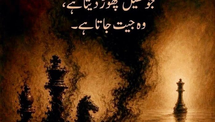 WhatsApp Image 2026-04-25 at 2.08.22 PM