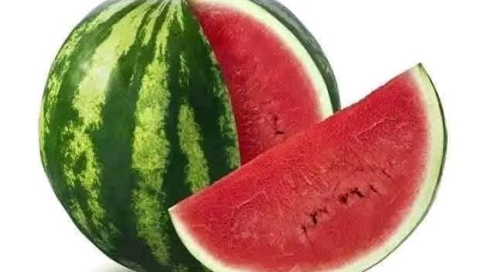 WhatsApp Image 2026-04-25 at 2.23.13 PM