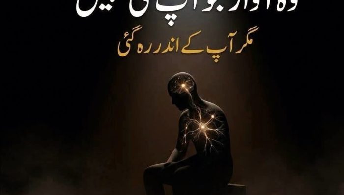 WhatsApp Image 2026-04-25 at 2.35.45 PM