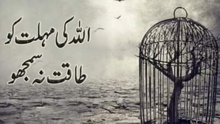 WhatsApp Image 2026-04-27 at 2.44.23 PM