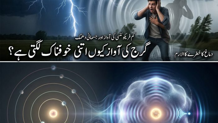 WhatsApp Image 2026-04-27 at 3.52.05 PM