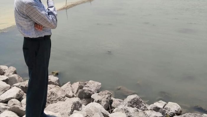 WhatsApp Image 2026-04-27 at 4.46.23 PM