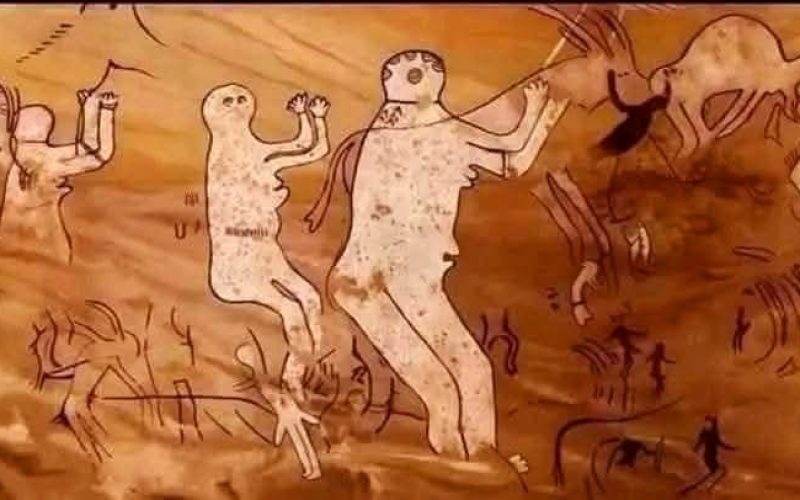 WhatsApp Image 2026-04-29 at 2.22.18 PM