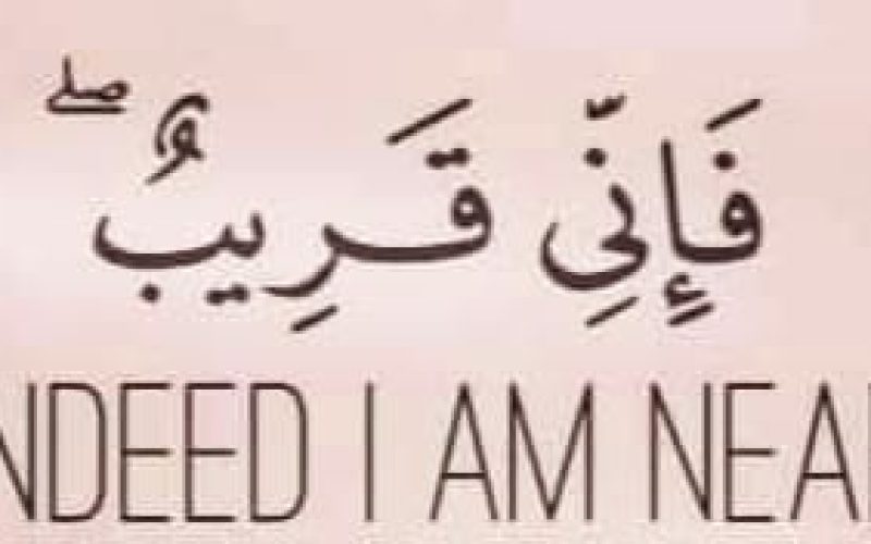 WhatsApp Image 2026-04-29 at 2.32.56 PM