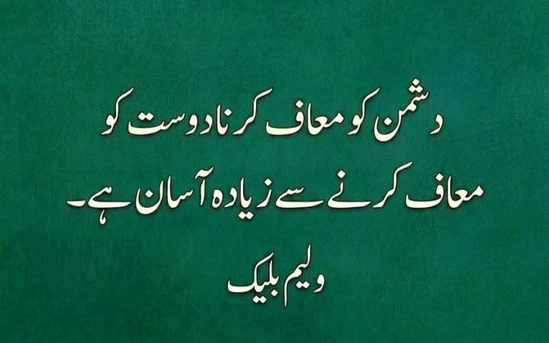 WhatsApp Image 2026-04-29 at 2.43.16 PM