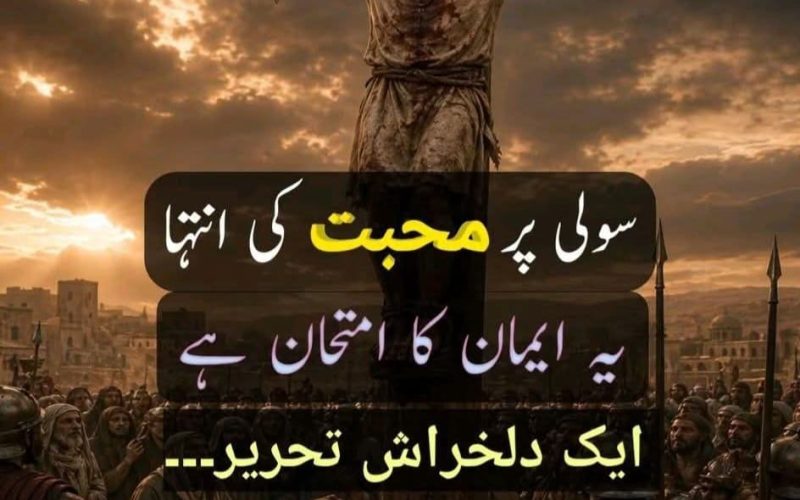 WhatsApp Image 2026-04-30 at 3.04.06 PM