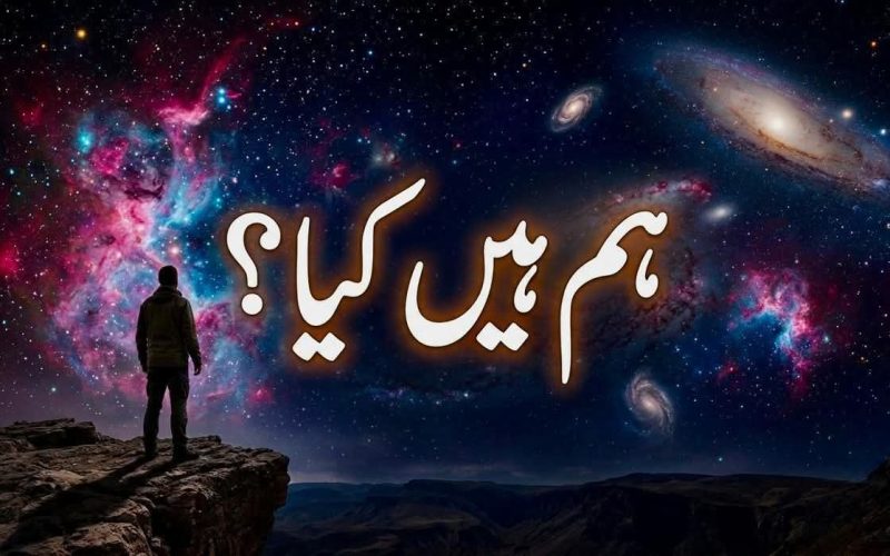 WhatsApp Image 2026-05-22 at 1.11.45 PM