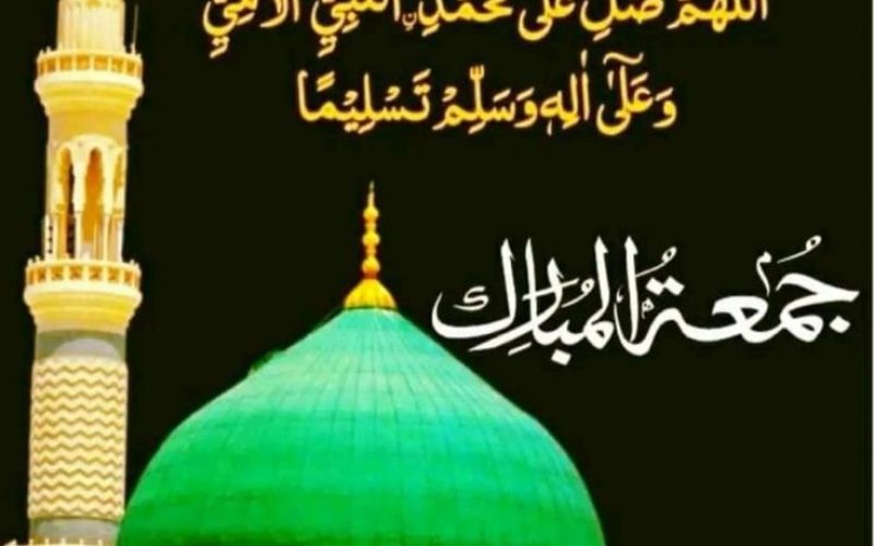 WhatsApp Image 2026-05-29 at 12.59.23 PM
