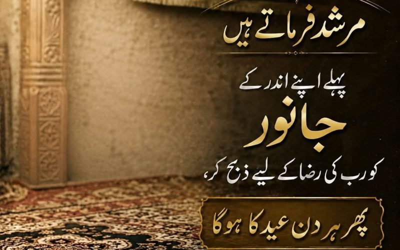 WhatsApp Image 2026-05-30 at 1.43.38 PM