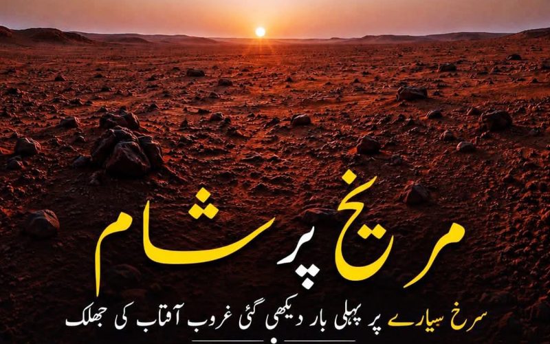 WhatsApp Image 2026-06-08 at 2.06.11 PM