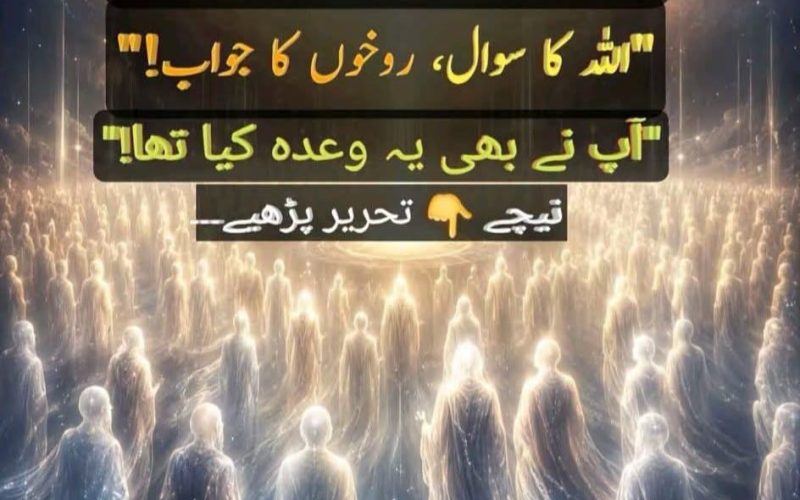 WhatsApp Image 2026-06-09 at 1.43.48 AM