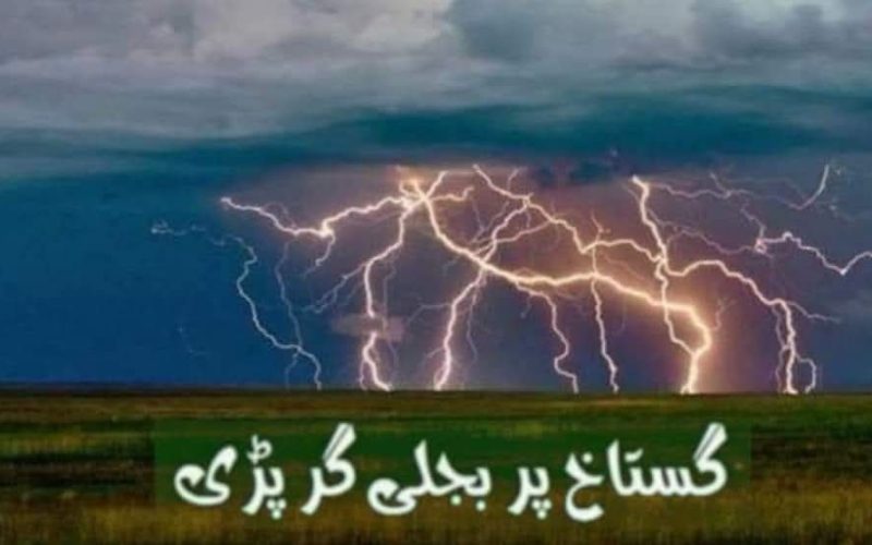 WhatsApp Image 2026-06-09 at 5.11.14 PM