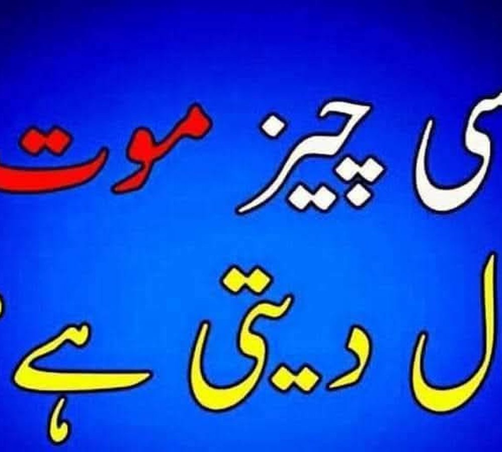 WhatsApp Image 2026-06-20 at 1.42.04 PM