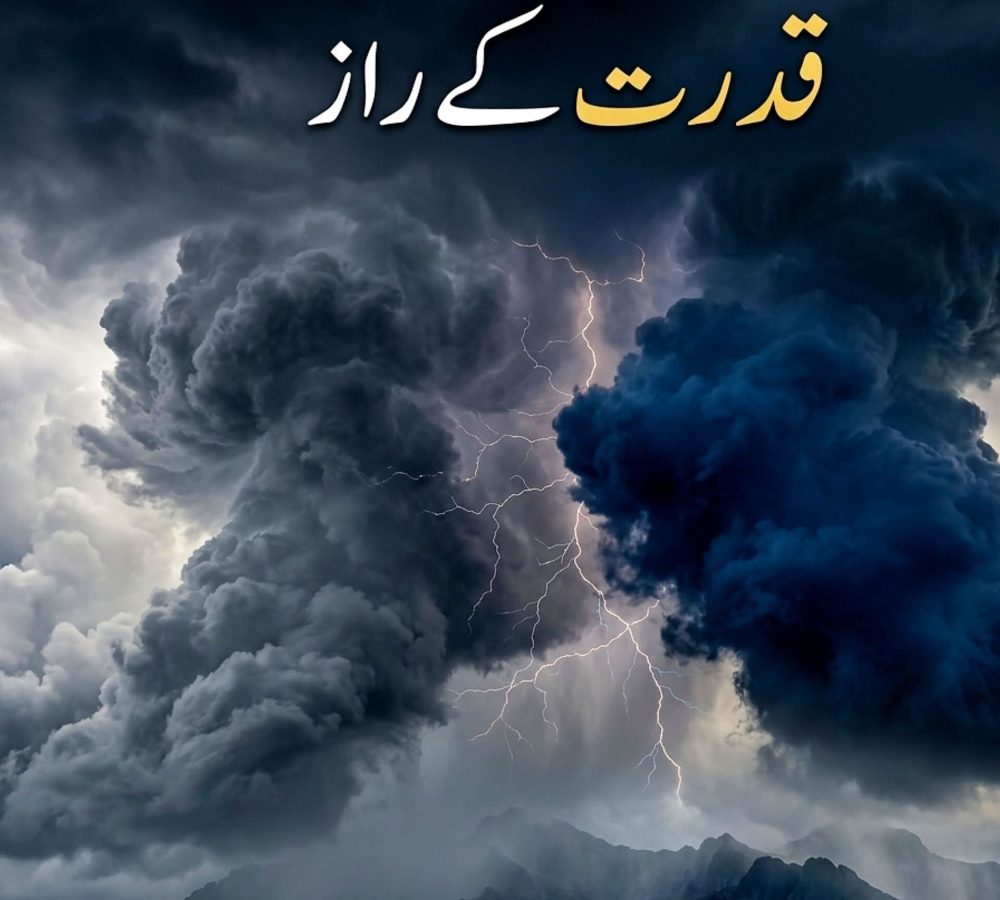 WhatsApp Image 2026-07-03 at 1.05.33 PM