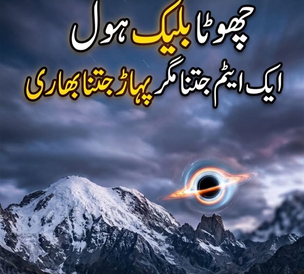 WhatsApp Image 2026-07-04 at 2.54.12 AM