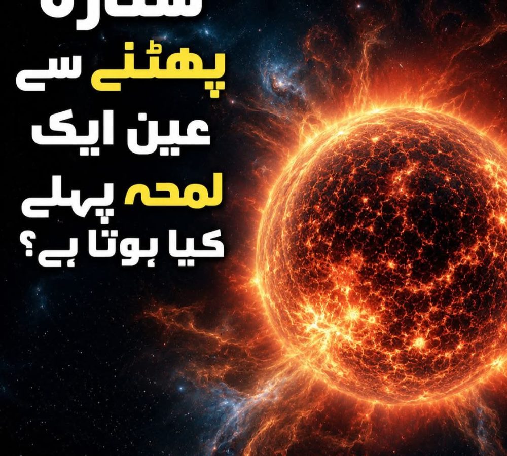 WhatsApp Image 2026-07-12 at 4.07.46 AM
