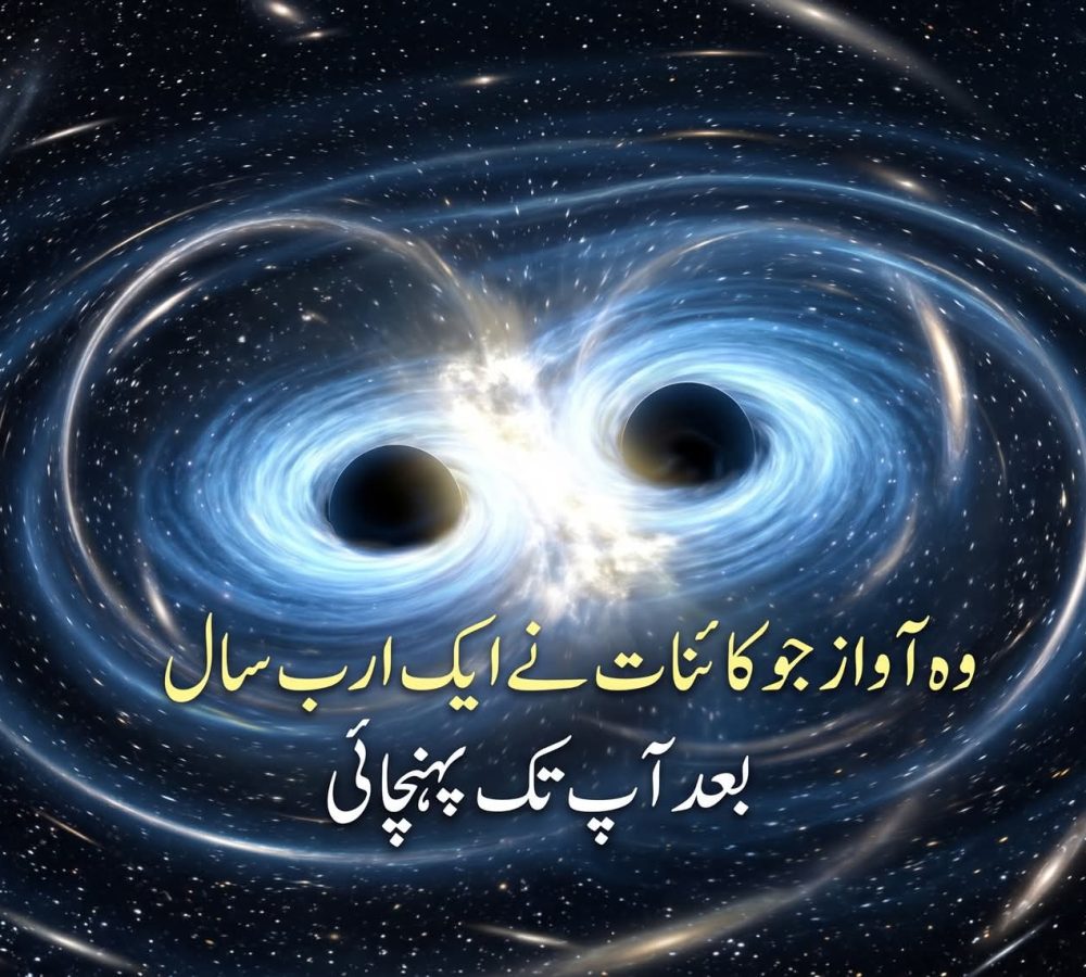 WhatsApp Image 2026-07-24 at 3.31.19 PM