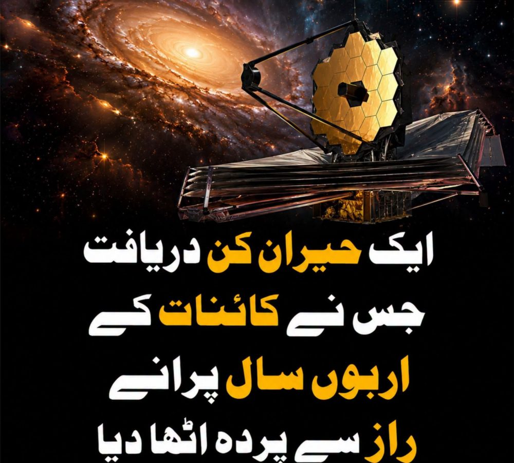 WhatsApp Image 2026-07-24 at 3.40.57 PM