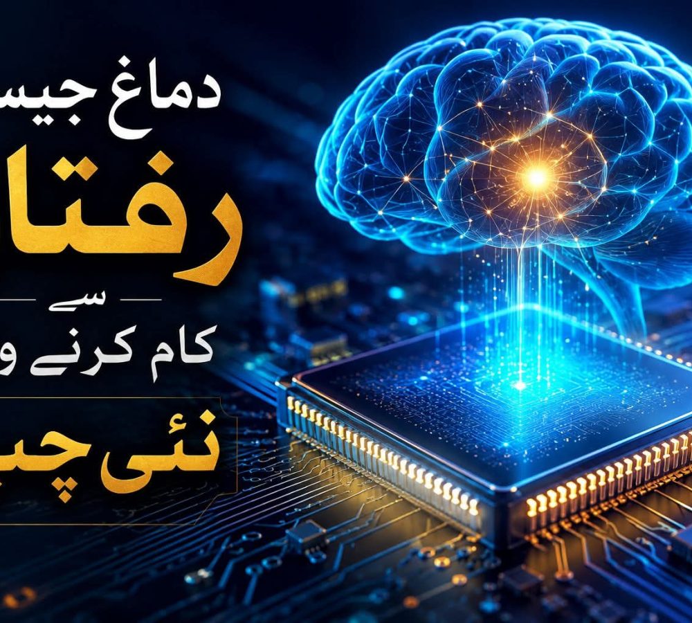 WhatsApp Image 2026-07-30 at 3.50.04 PM