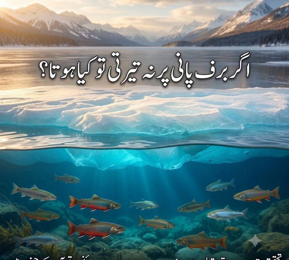 WhatsApp Image 2026-08-03 at 4.54.10 PM