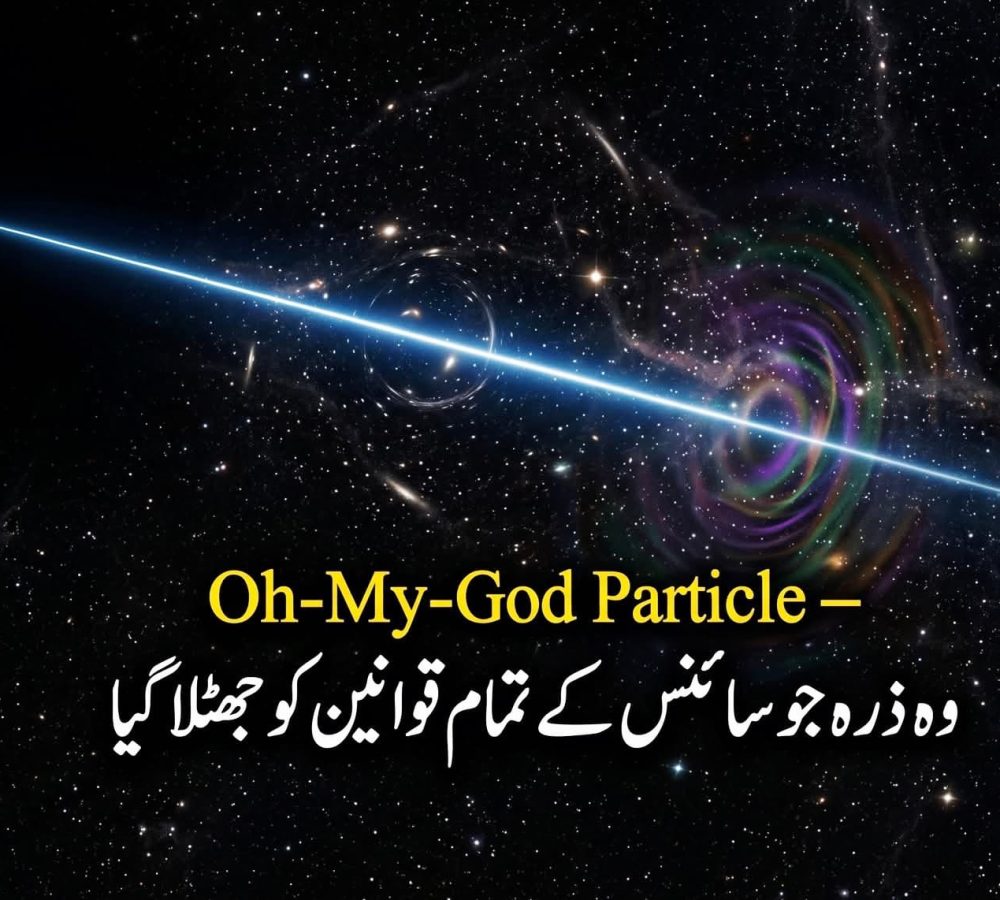 WhatsApp Image 2026-08-05 at 4.13.12 PM