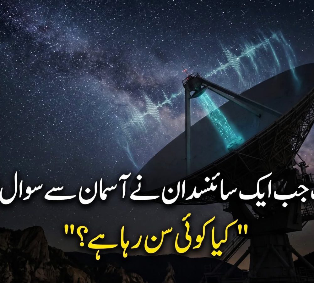 WhatsApp Image 2026-08-11 at 1.04.38 PM