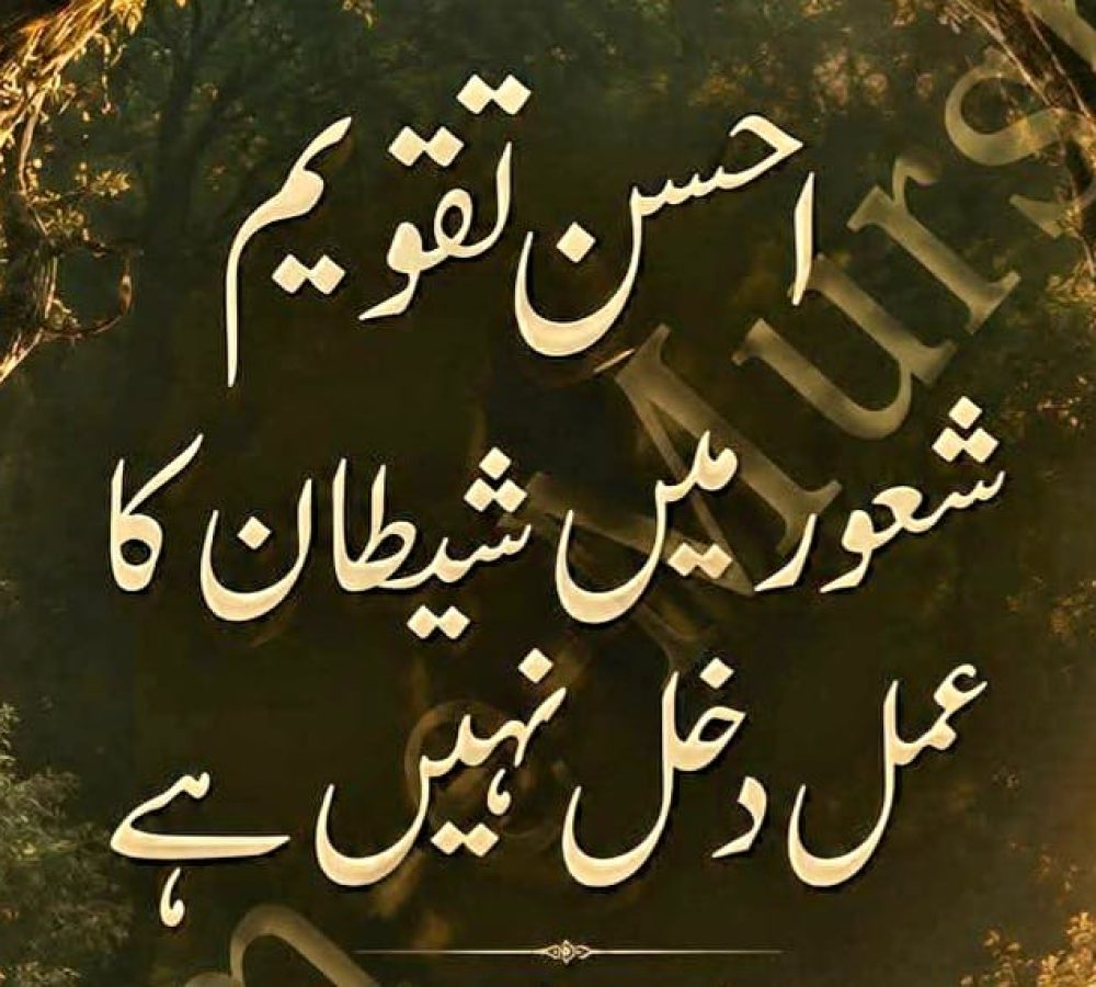 WhatsApp Image 2026-08-20 at 3.30.14 PM