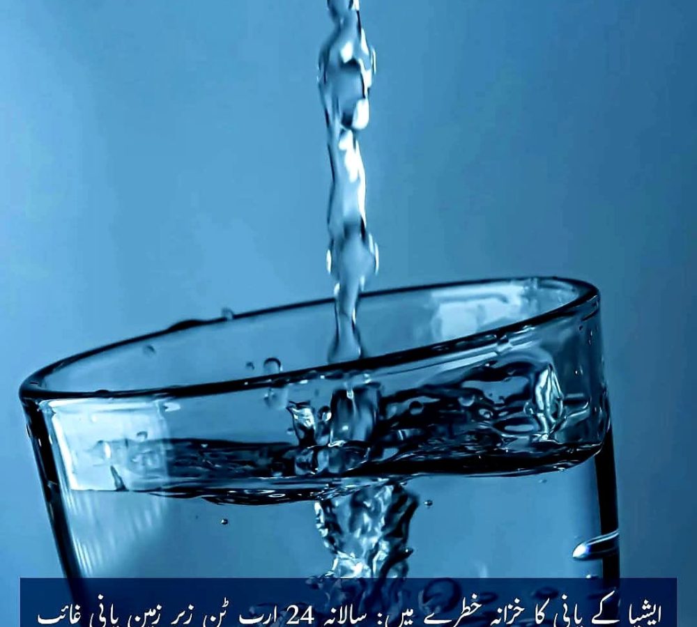 WhatsApp Image 2026-08-21 at 4.00.23 PM