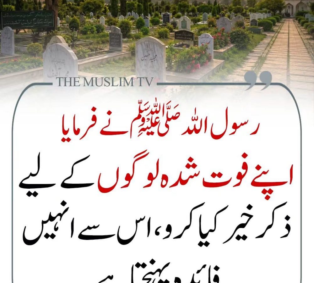 WhatsApp Image 2026-08-29 at 2.32.26 AM