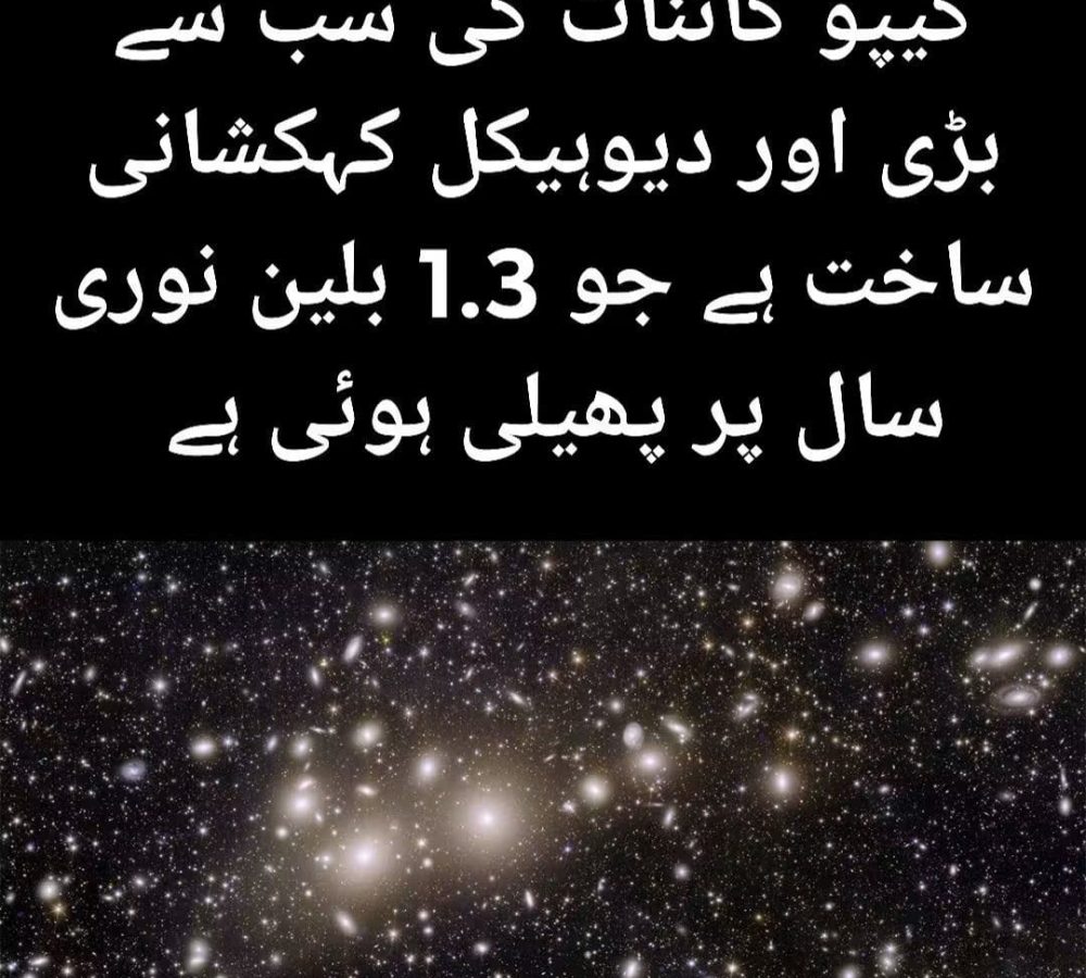 WhatsApp Image 2026-08-29 at 2.33.40 AM
