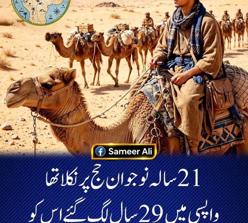 WhatsApp Image 2026-08-29 at 2.50.07 AM