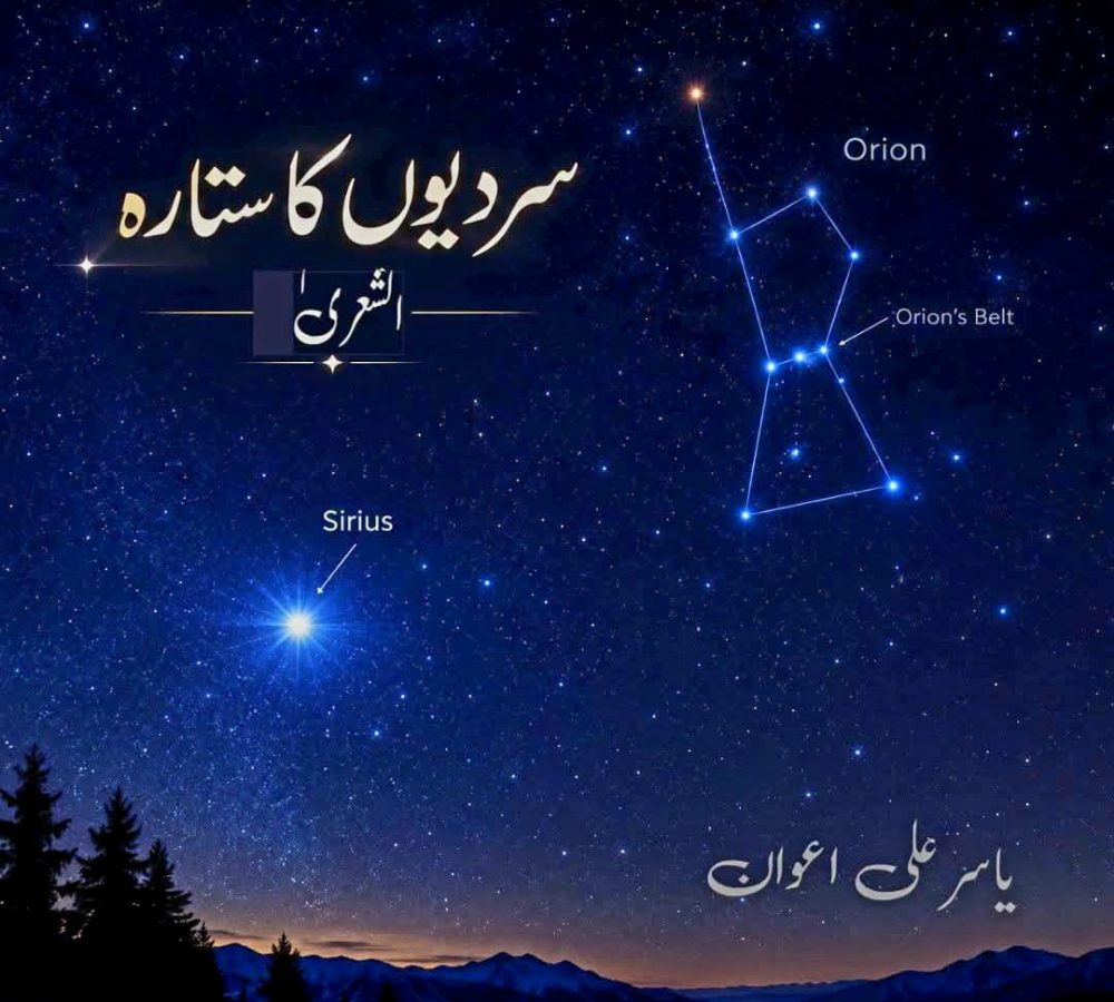 WhatsApp Image 2026-09-07 at 12.19.09 PM