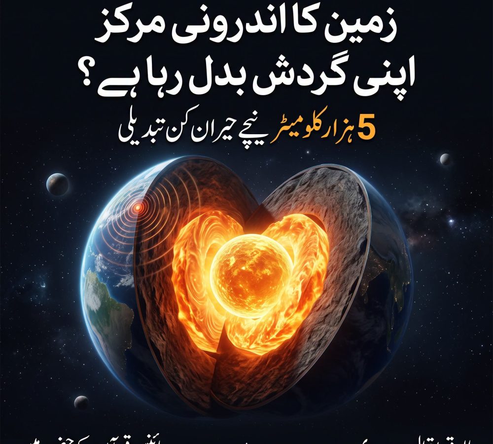 WhatsApp Image 2026-09-08 at 11.51.45 AM