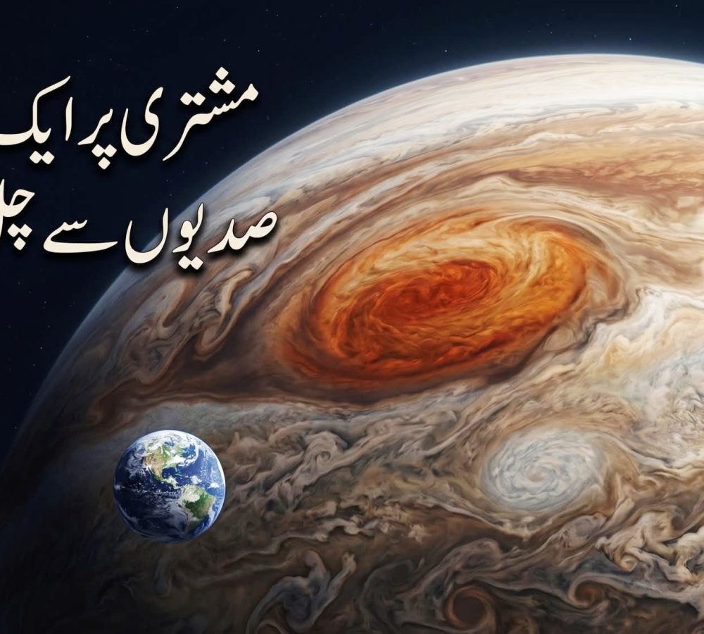 WhatsApp Image 2026-09-14 at 6.49.27 PM