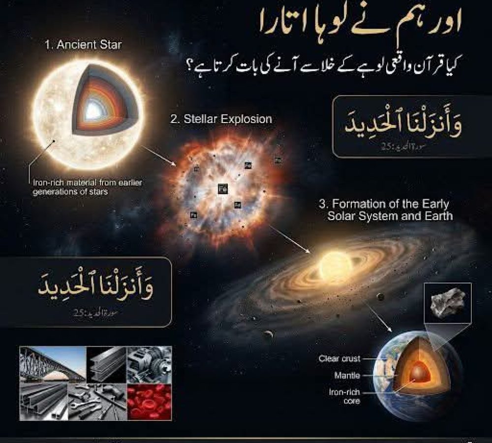 WhatsApp Image 2026-09-17 at 1.59.30 PM