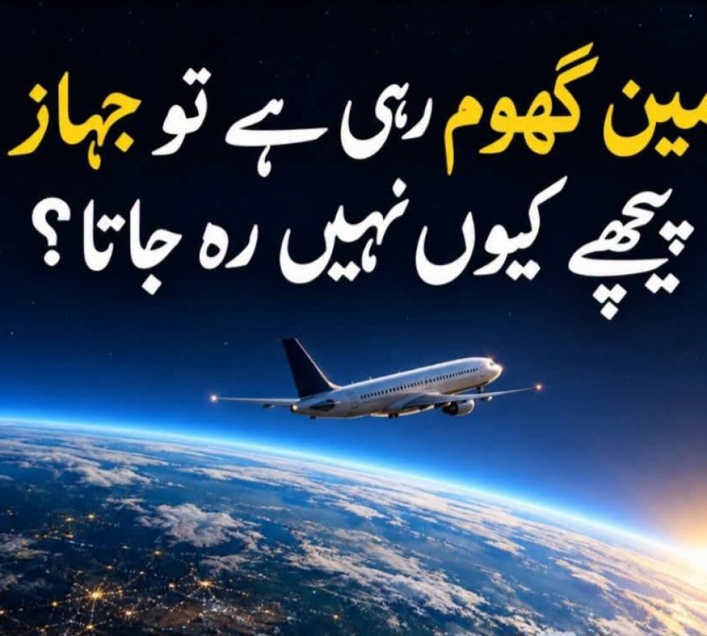 WhatsApp Image 2026-09-17 at 12.26.34 PM