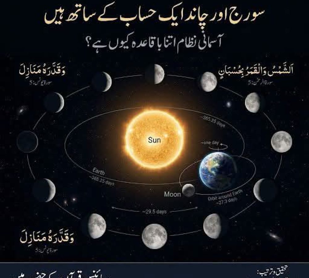 WhatsApp Image 2026-09-19 at 6.17.03 PM
