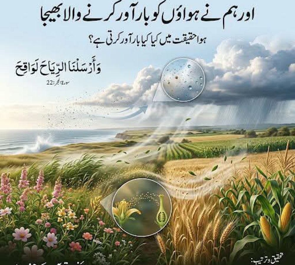 WhatsApp Image 2026-09-19 at 6.24.53 PM