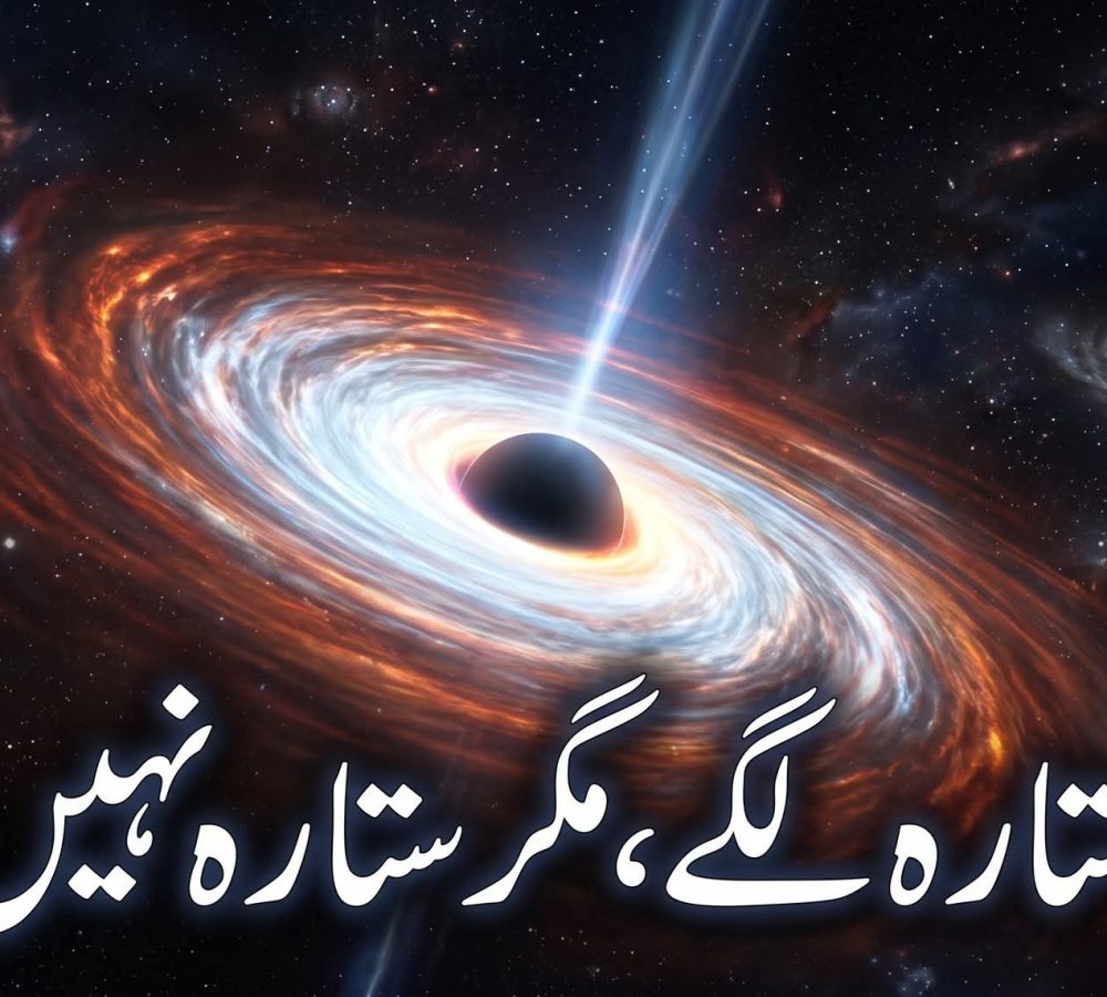 WhatsApp Image 2026-09-28 at 1.46.39 PM